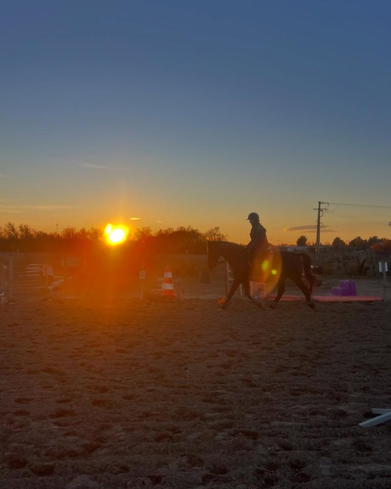 cours d'équitation