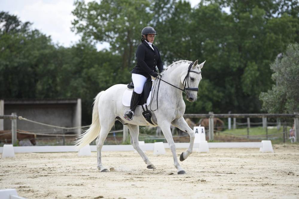 cours d'équitation