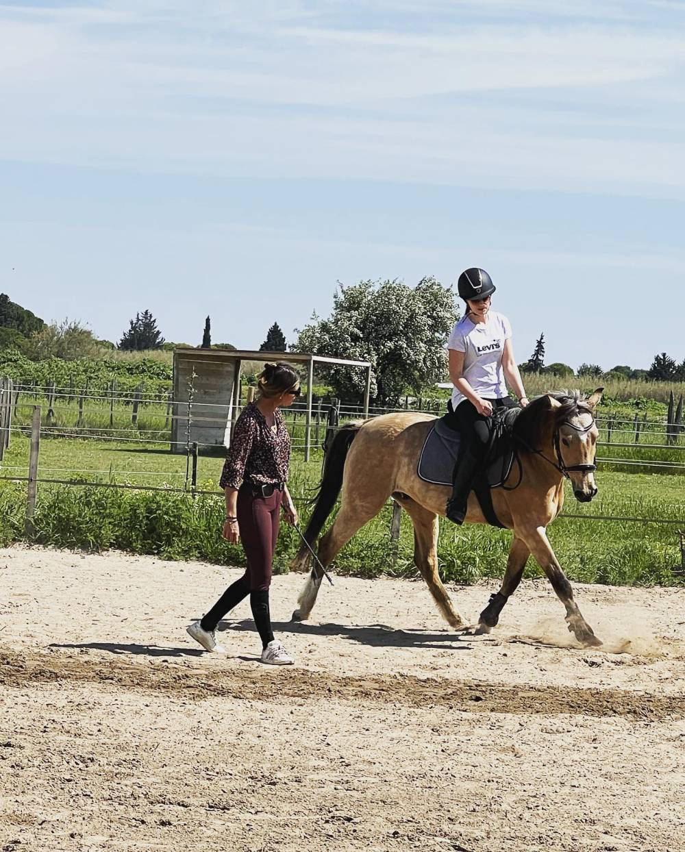 cours d'équitation