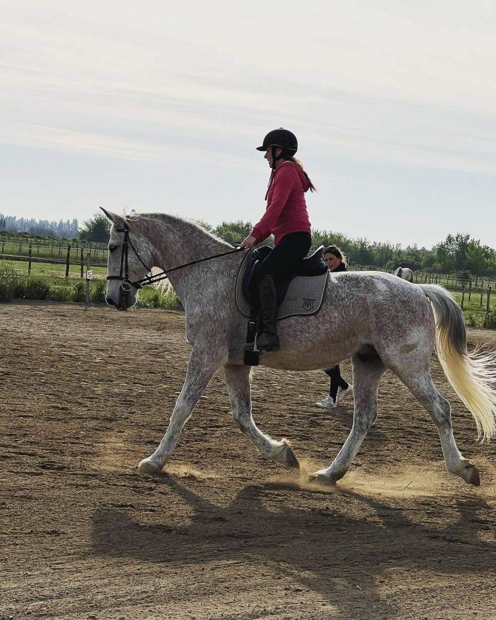 cours d'équitation